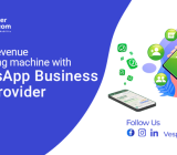 WhatsApp Business Solution Provider
