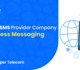 bulk SMS provider company
