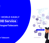 DID service provider