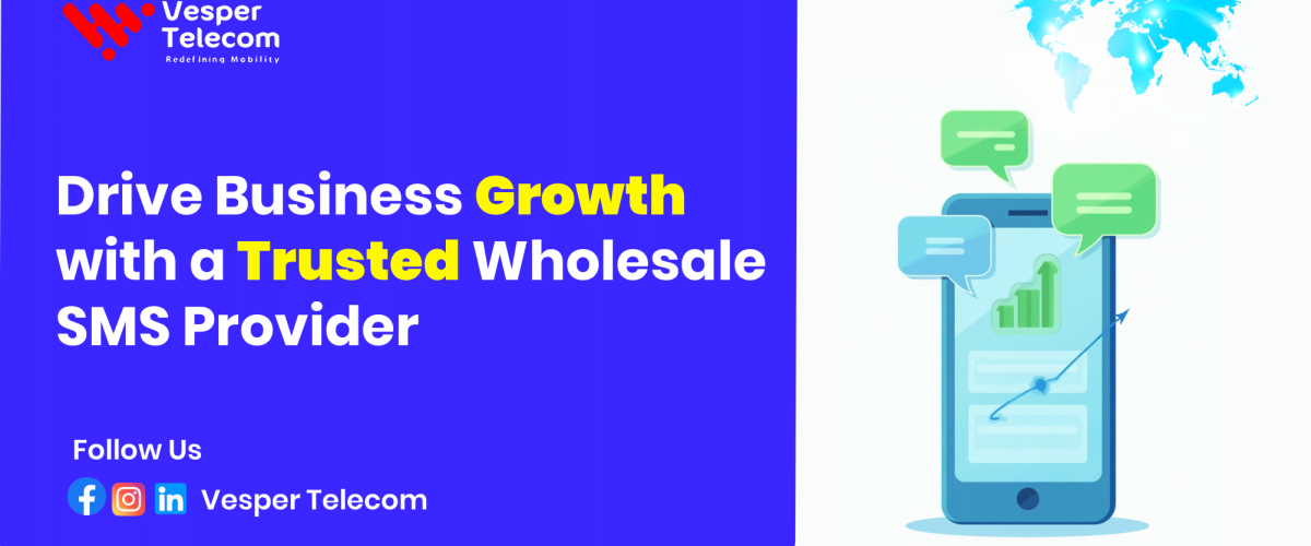 Wholesale SMS provider, SMS Campaigns