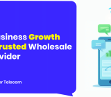 Wholesale SMS provider, SMS Campaigns