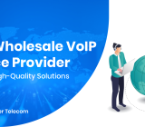 wholesale VoIP service provider