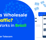 sms traffic for brazil